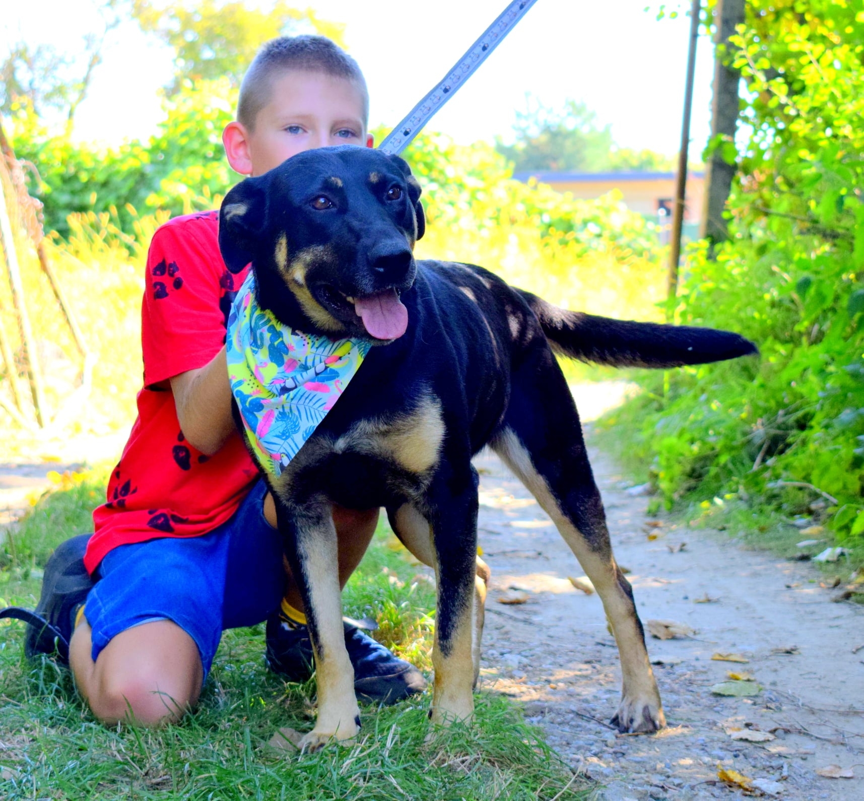 Zouzou, 8 Monate Hunde in Griechenland Hilf dem Tier