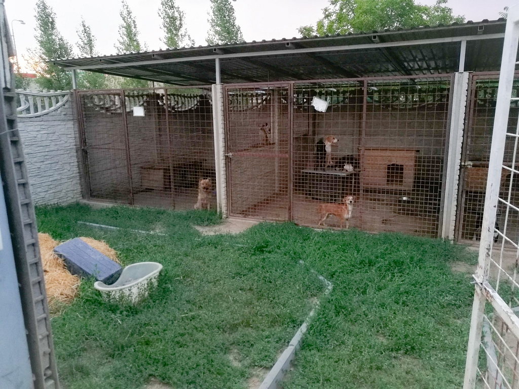 Shelter Hurbanovo am 30. August 2025