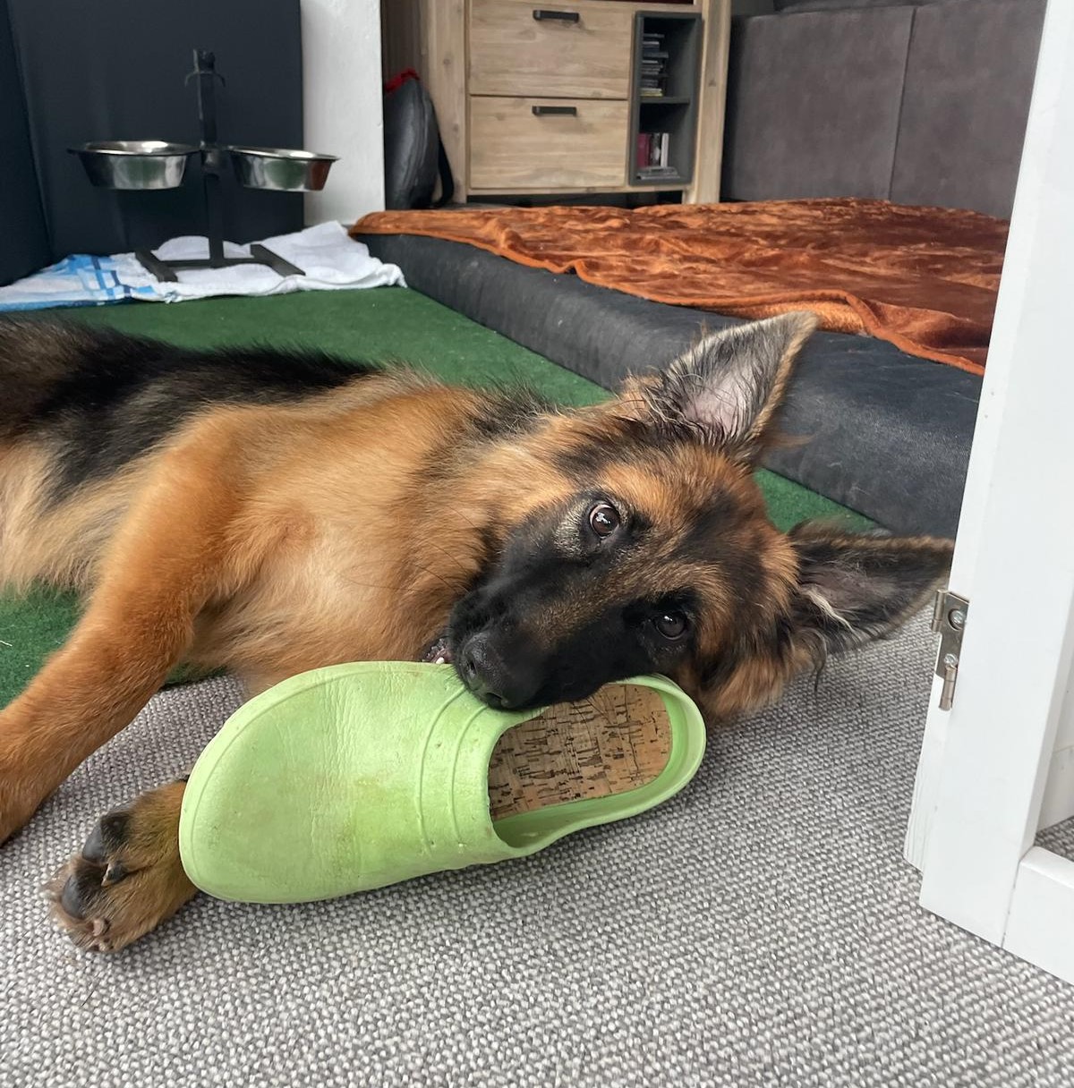 Zoe – Vom Rollstuhl ins Leben