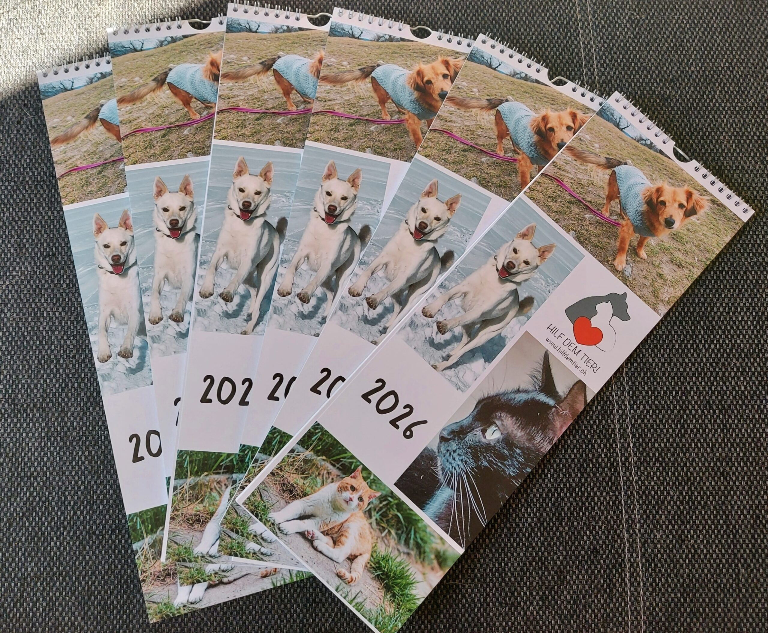 Unsere beliebten Kalender mit Familienplaner sind da!