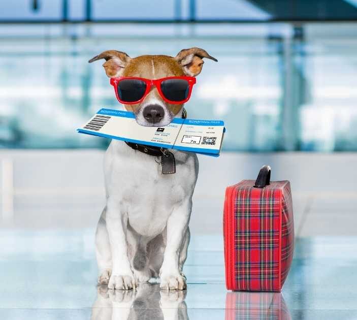 20.12.2025 – Reise mit Happyend