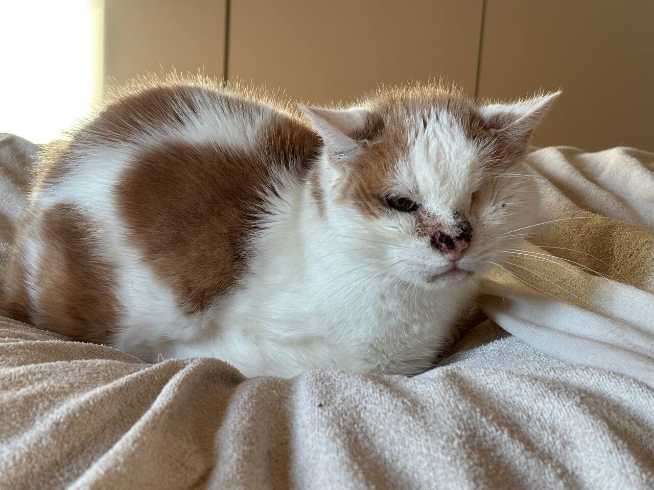 Abschied in der Abendsonne