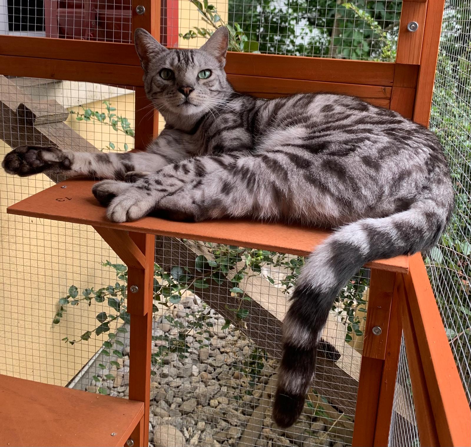 Neuer Bewohner in der Abendsonne