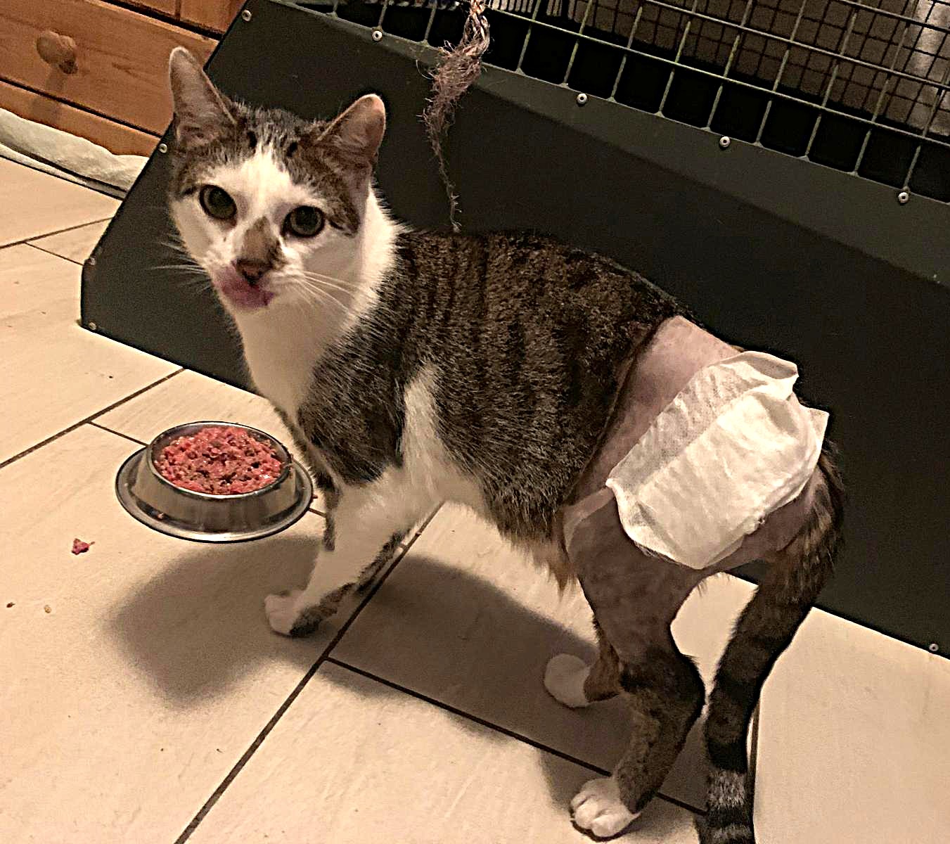 Rehabilitation in der Abendsonne