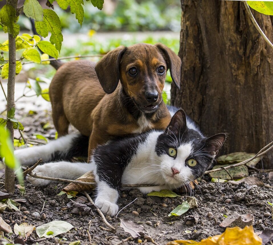 Vorstands- und Vereinssitzwechsel