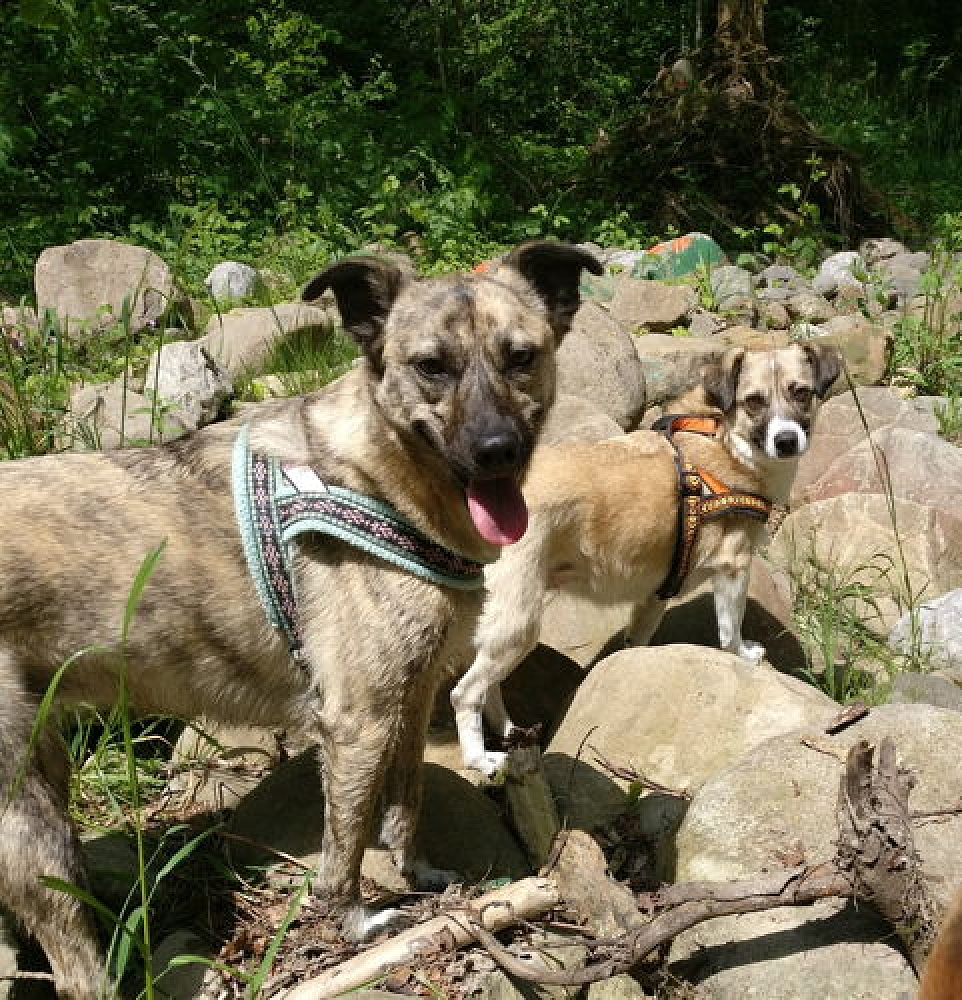 Abby, Lizzy & Tella