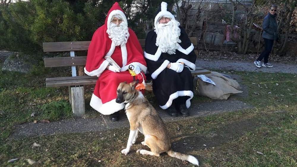 Ginny´s Wunschzettel für den Samichlaus