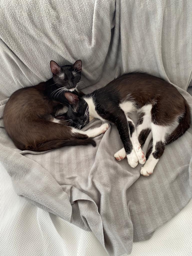 Kinga und Kelly