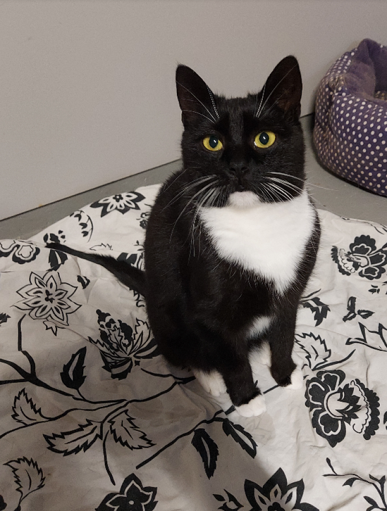 Luna