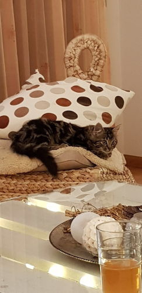 Gulyo schickt erste Grüsse