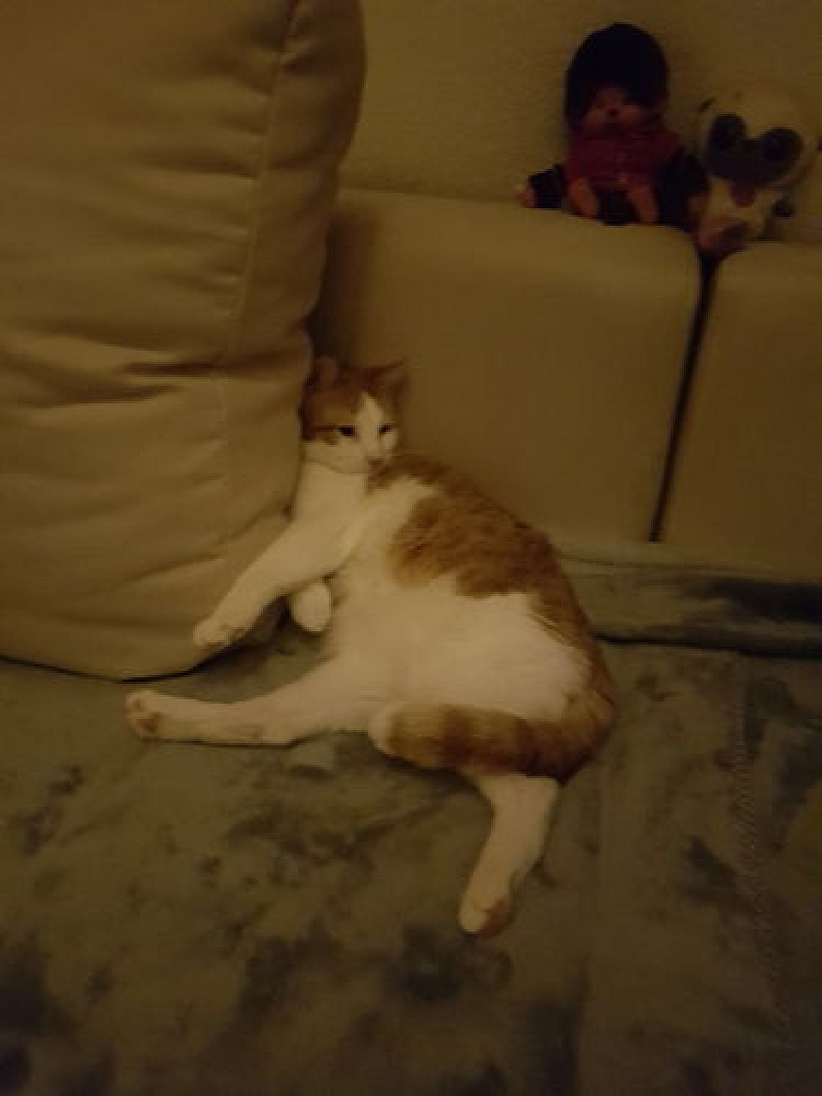 Alby schickt erste Grüsse
