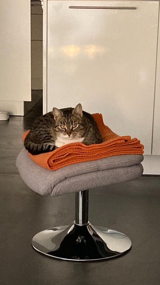 Cindy (Brunos)  – ein Kuschelschatz