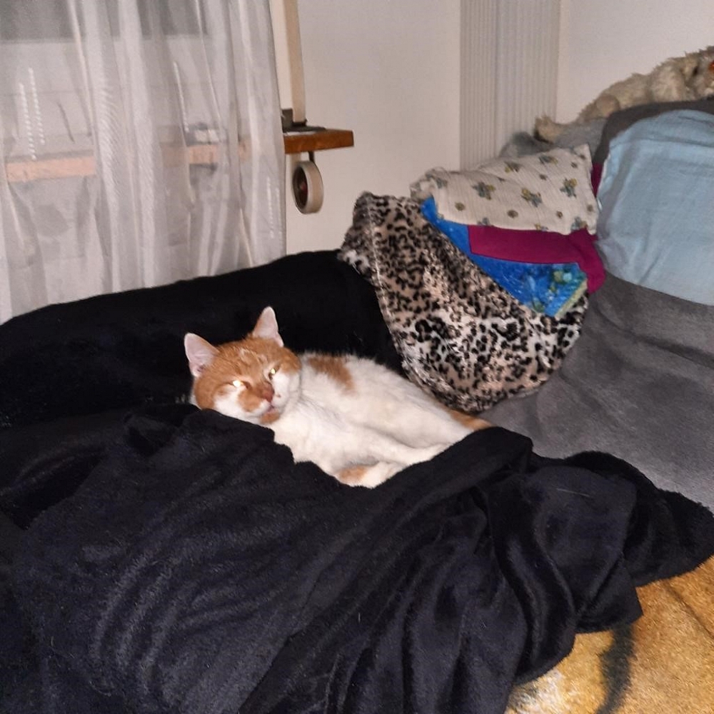 Sookie (Derek) eine grosse Bereicherung!